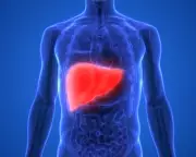 Experts Urge Higher Taxes on Alcohol and Junk Food to Combat Liver Disease in Europe