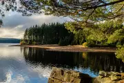 Exploring Kielder Forest: England's Vast Centenary Wilderness