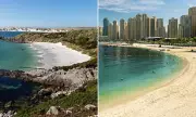 Falkland Islands Emerge as Surprising Alternative to Dubai Amid Middle East Conflict