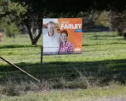 Farrer By-election: Liberal One Nation Preferences Echo Turnbull Era