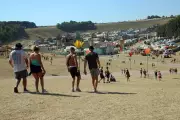 Festival Urine Fertiliser to Cultivate Thousands of Trees in Welsh National Park