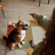 Five Compelling Reasons Why Dog Ownership Might Not Be Right for You