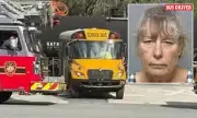 Florida Bus Driver Charged After Ignoring Train Warnings, Nearly Causing Catastrophe