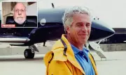 Former Harvard Professor Exposed in Epstein Files for Celebrating Sex Offender's Release