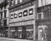 From Glamorous Department Store to Cannabis Farm: The Fall of Wildings