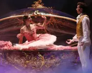 From Stage to New Careers: Ballet Dancers Share Their Paths