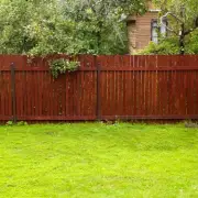 Garden Fence Maintenance: Experts Urge Key Task This Month to Prevent Damage