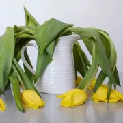 Gardener's 3-Second Pin Trick Stops Tulips from Flopping in Vases