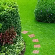 Gardeners Praise £15 Lawn Treatment as 'Amazing' for Weed and Moss Control