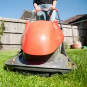 Gardening Experts Reveal Optimal Lawn Mowing Schedule From Spring to Autumn