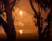 Geelong Refinery Fire Extinguished, Yet Fuel Crisis Questions Persist