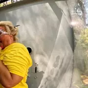 Gemma Collins Vows Redemption in I'm A Celebrity All Stars Return