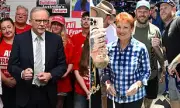 Gender Divide Widens: Women Propel Labor as Men Shift to One Nation