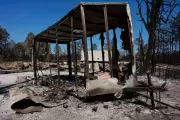 Georgia Wildfire Highlights Climate Change Role in Eastern Blazes