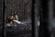 Georgia Wildfire Kills Firefighter, Destroys 120+ Homes