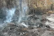 Georgia Wildfires Still Threaten as Firefighters Report Progress