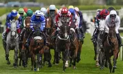Get on George Euthanised at Aintree Festival, Marking 69th Horse Death Since 2000