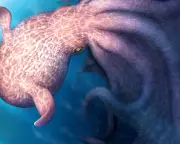 Giant 'Kraken-Like' Octopuses Ruled Cretaceous Seas, Fossil Beaks Reveal