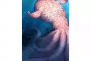 Giant Kraken-Like Octopuses Ruled Prehistoric Oceans 100 Million Years Ago