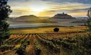 Global Wine Travel Awards Reveal 21 Must-Visit Wineries Worldwide