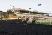 Golden Gate Fields to Transform into Major Public Park in Bay Area Deal