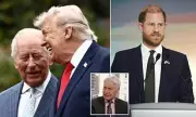 Government Briefing Undermines Prince Harry's Ukraine Speech Impact