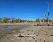 Governments Fail to Deliver $160m River Health Projects in Murray-Darling Basin