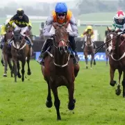 Grand National 2026: Expert's Three Aintree Picks Including 25-1 Outsider