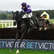 Grand National 2026 Horse Colours Revealed: Full List of Brown, Grey, and Black Contenders