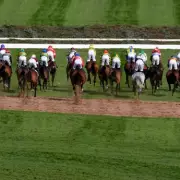 Grand National 2026: I Am Maximus Wins, Two Horses Die at Aintree Festival