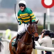 Grand National 2026: Key Trends for Picking a Winner, from Silk Colours to Age