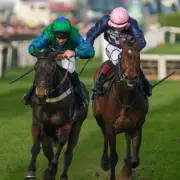 Grand National 2026 Ladies Day: Full Racecard, Tips, and Aintree Action