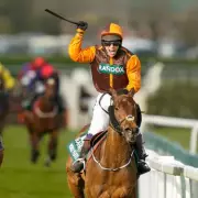 Grand National Champion Noble Yeats Dies at Age 11 Following Colic Battle