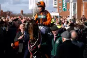 Grand National Champion Noble Yeats Dies at Age 11 Following Sudden Illness