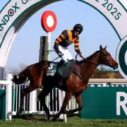 Grand National Champion Patrick Mullins Denied Prize Money Due to Amateur Status