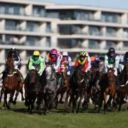 Grand National Fallers Update: Quai De Bourbon Home Safe, Mr Vango in Recovery