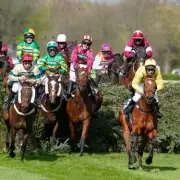 Grand National Fallout: Two Horses Assessed After Aintree Falls, Jockey Hospitalised