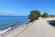 Greece Expands Protected Beaches to 250 with Strict New Rules