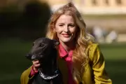 Green Party Gains Momentum as Disenchanted Reform Voters Switch Allegiance