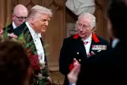 Green Party Leader Says He Feels Sorry for King Over Trump Visit