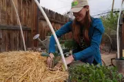 Grow Your Own Food With Less Water Even in a Drought