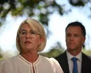 Gun Lobby Targets NSW Labor Seats Over Post-Bondi Firearm Reforms