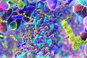 Gut Microbiome Holds Early Warning Signs for Parkinson's Disease Risk