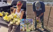 Gwen Stefani and Blake Shelton Celebrate Easter with Daffodil Planting at Ranch