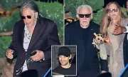 Harvey Keitel Celebrates Wife's Birthday at Nobu with Pacino and De Niro