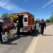 Hiker in Critical Condition After Sustaining Over 100 Bee Stings on Arizona Mountain