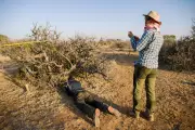 Historic Drought Threatens Myrrh Trees, Jeopardising Perfume Industry and Ethiopian Livelihoods
