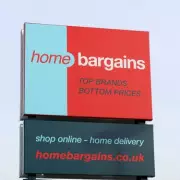Home Bargains' £10 Ceramic Lamp Rivals £41 Homebase Version for Elegant Decor