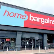 Home Bargains' £3 Sunflowers Offer Long-Lasting, Zero-Maintenance Decor
