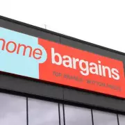 Home Bargains' £30 Firepit Adds Style and Practicality to Gardens